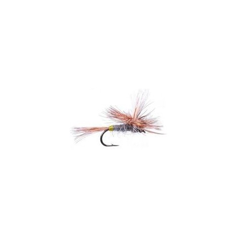 Adams Female Parachute