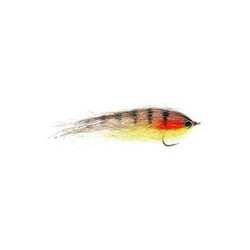 Bait Brown Trout