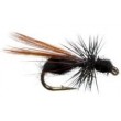 Flying Ant Black