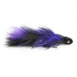 MD Purple
