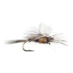 Foam Wing Callibaetis Parachute