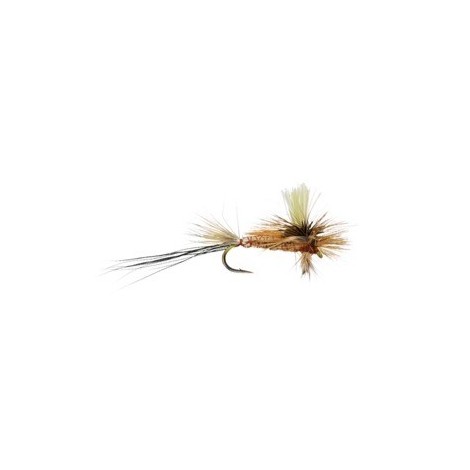 Alexs Glo Drake Spinner White