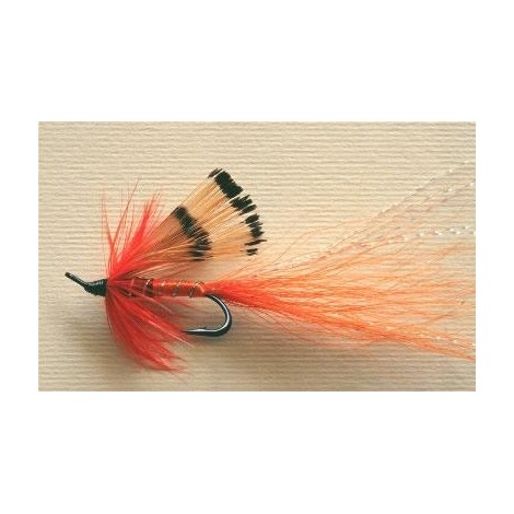 allys shrimp orange