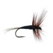 FPL Black Winged