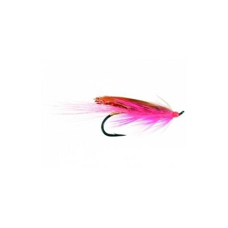 General Practitioner Pink