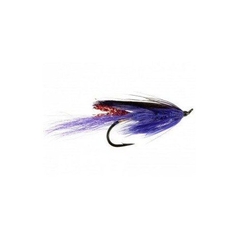 General Practitioner Purple