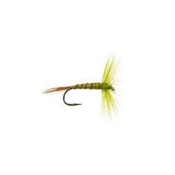 FPL Olive Ribbed