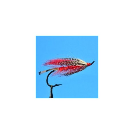 October Spey  Red