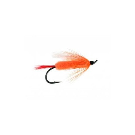 Polar Shrimp