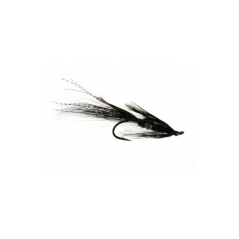 Prawn Black