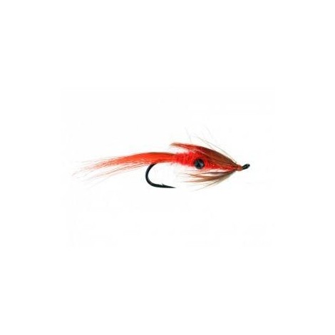 Prawn Orange