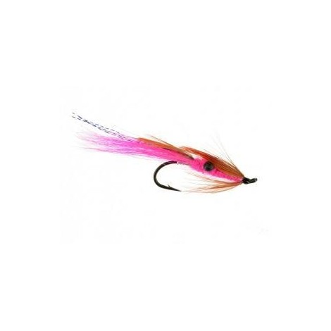 Prawn Pink