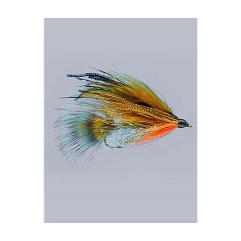 teds brook trout
