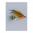 teds brook trout