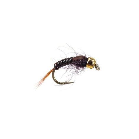 Ales TG Brown Body Glas