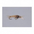 Golden Epoxyback Stone  TNG WTD