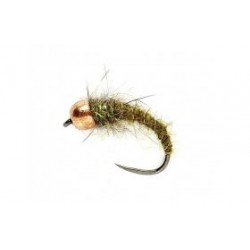 KJ Olive Grub TH