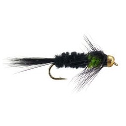 Montana Green TG