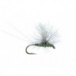 Bears BWO Parachute