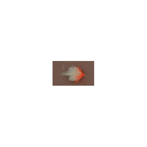 BL Cut Throat Biscuit Blob