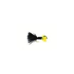 Montana Cactus Fly