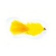 Nugget Cactus Fly Sunburst