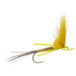 Neallys Hex Comparadun