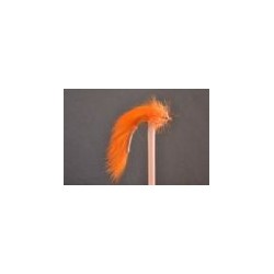 Orange Bunny Leech