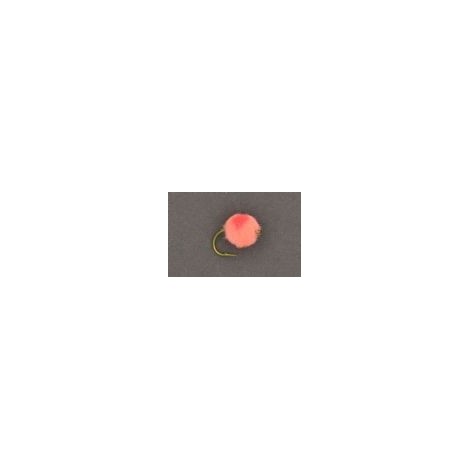 Small Fish Egg