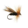 Peacock Caddis