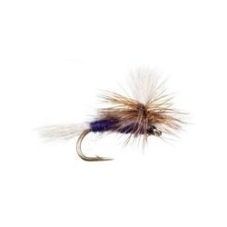 Purple Haze Parachute