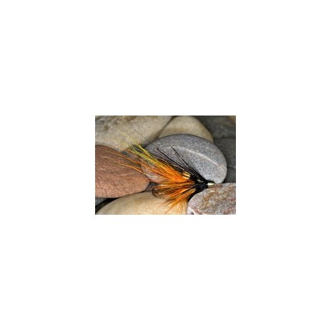Cascade PBP ConeHead