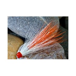 Junction Shrimp