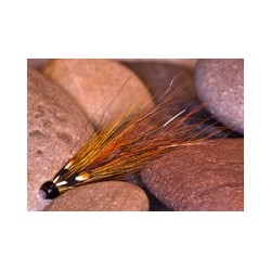 PBP W Gunn Gold