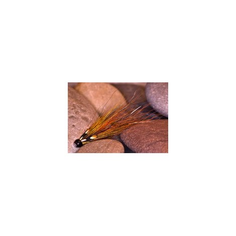 PBP W Gunn Gold