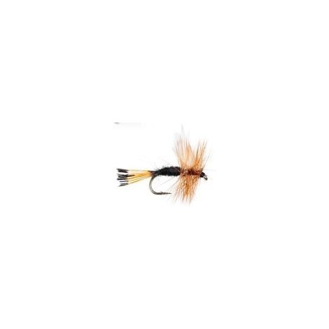 Rio Grande King