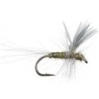 Thorax BWO