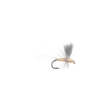 Thorax PMD