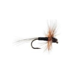 Thorax White Black