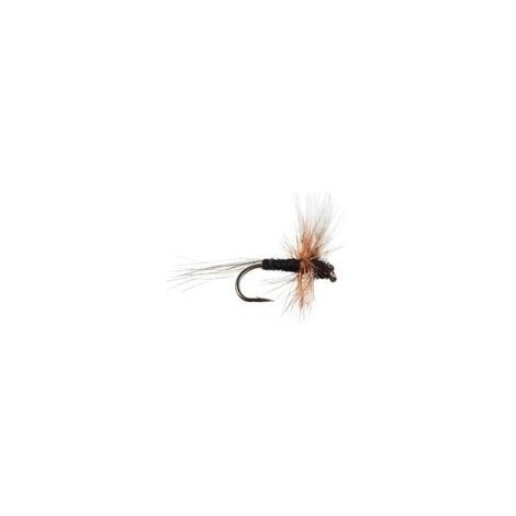 Thorax White Black