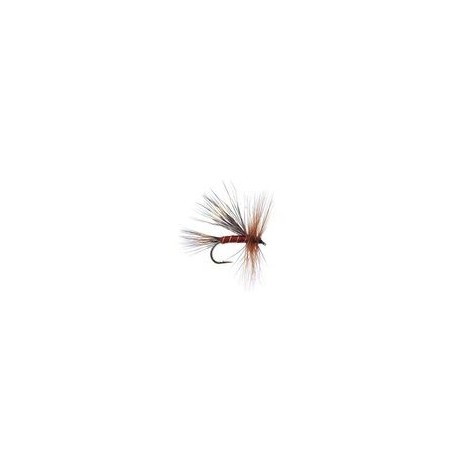 Travelling Sedge