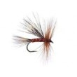 Travelling Sedge