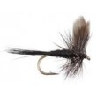 Black Gnat