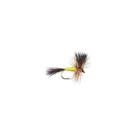 Wulff Black Yellow
