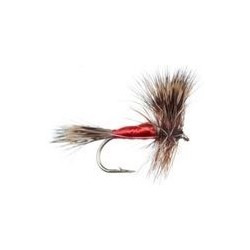 Wulff Red Hair Wing