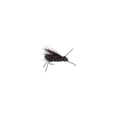 Charlie Boy Hopper Black