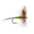 Adams Olive