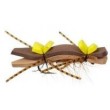 Chernobyl Ant Brown Tan