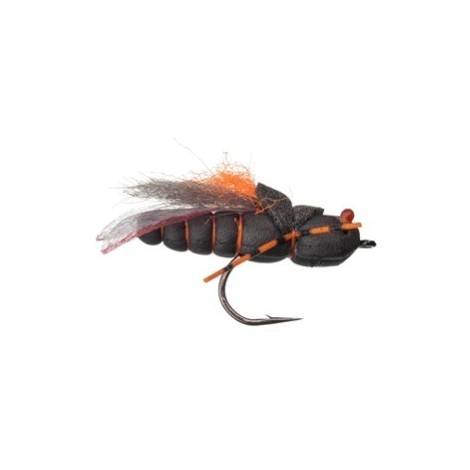 Project Cicada