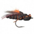Project Cicada